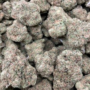 Biscotti [$110 Oz Deal]